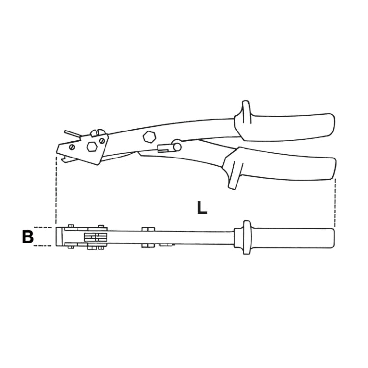 Beta Cesoia roditrice