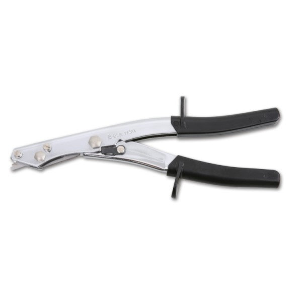 Beta Cesoia roditrice