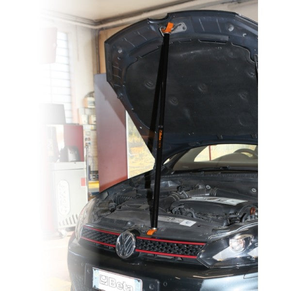 Beta Asta telescopica