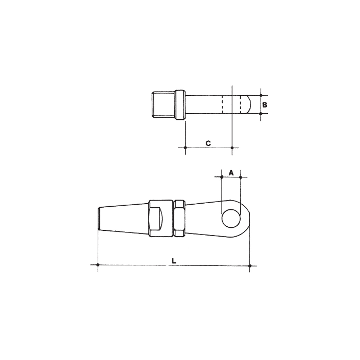 CARCANO A519 Terminale rapido ad occhio in acciaio inox