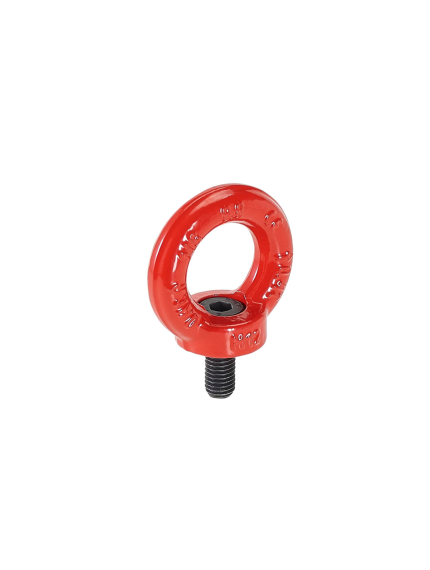 CARCANO C801 Golfare orientabile con vite 8.8