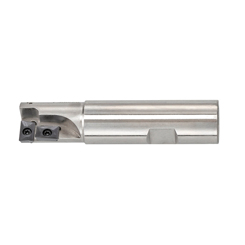 Fervi Fresa a inserto - F306/20