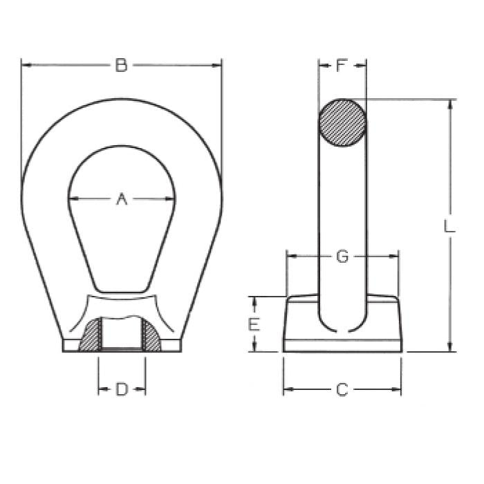 CARCANO A057 Golfare femmina a occhio allungato, uni 2948