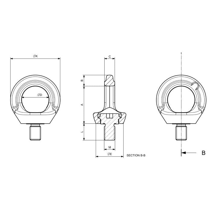 CARCANO C900X Dispositivo girevole anticaduta (dpi) en795