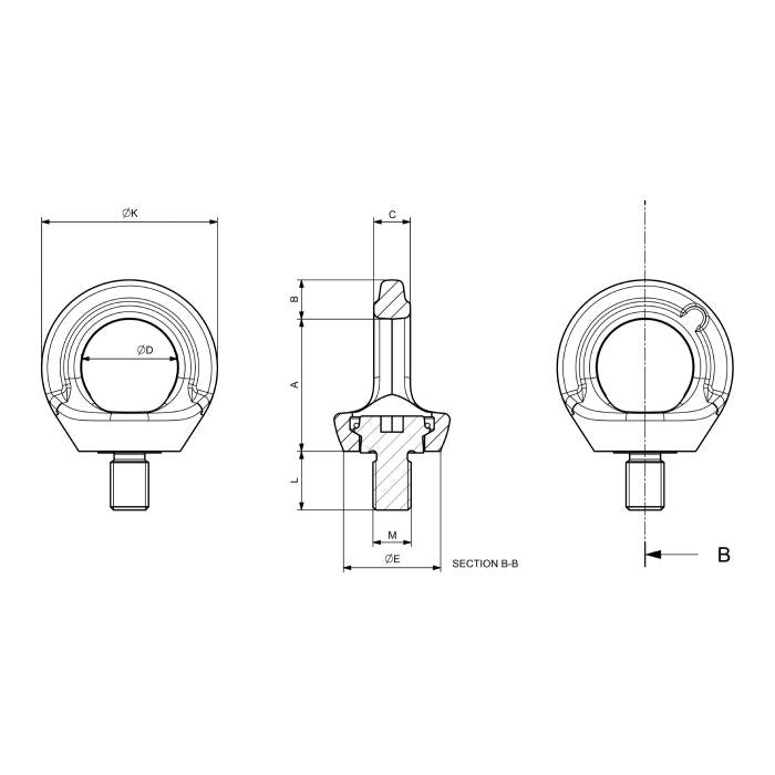 CARCANO C902X Dispositivo girevole anticaduta in acciaio inox (dpi) en795