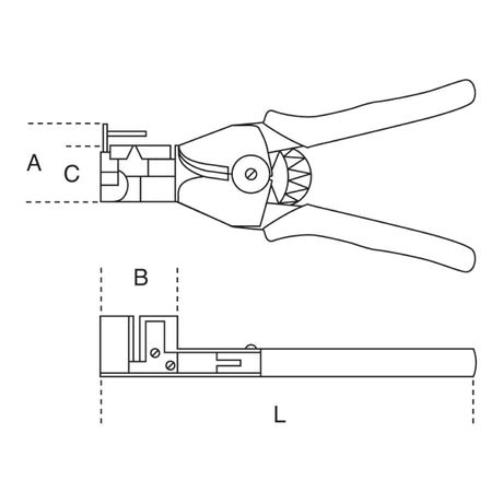 Beta Pinza spellafili