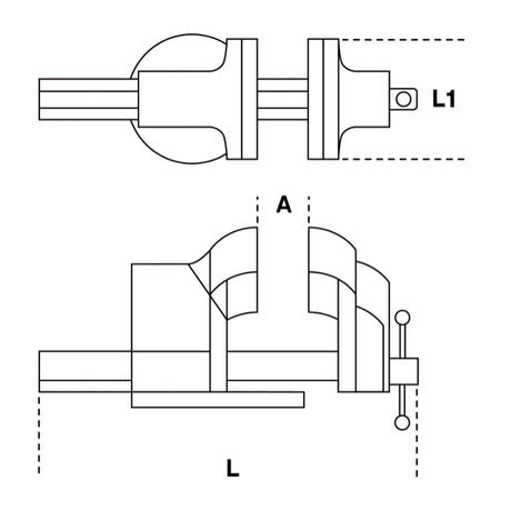 Beta Morse parallele da banco