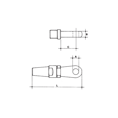 CARCANO A519 Terminale rapido ad occhio in acciaio inox