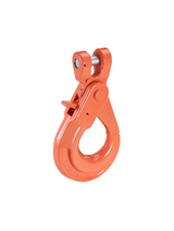 CARCANO CRFX Gancio di sicurezza a forcella