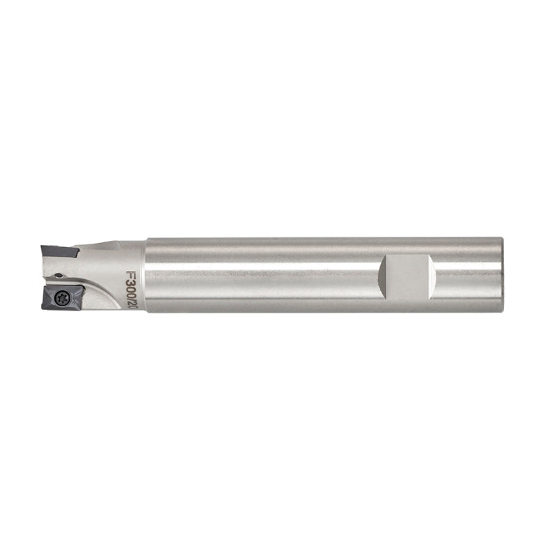 Fervi Fresa a inserto - F300/14