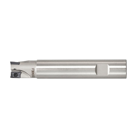 Fervi Fresa a inserto - F300/14