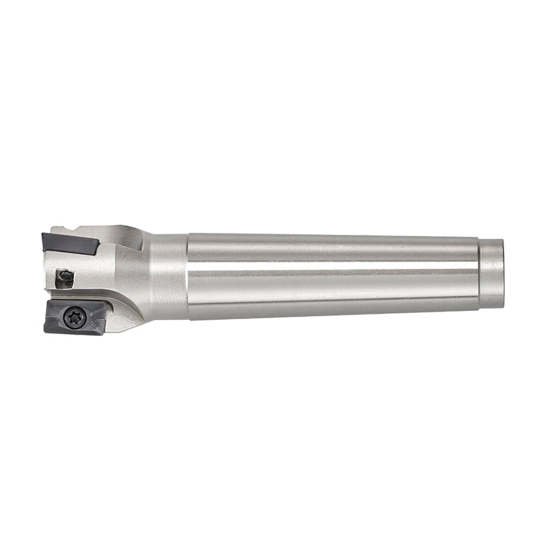 Fervi Fresa a inserto - F301/25