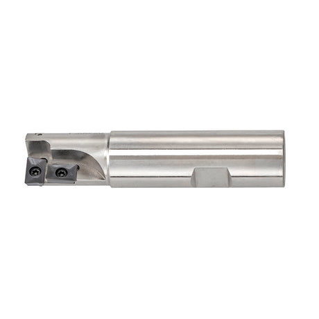 Fervi Fresa a inserto - F306/20