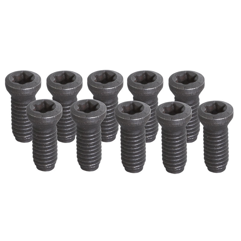 Fervi Set 10 viti - KV250