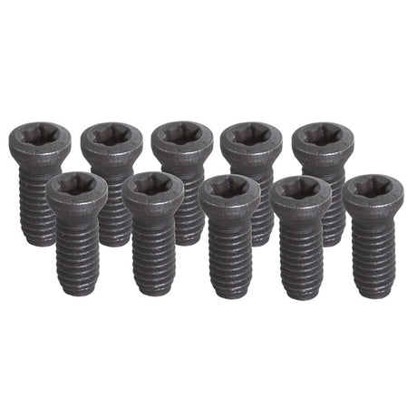 Fervi Set 10 viti - KV250