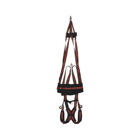 Delta Plus Imbracatura anticaduta RAH33 - Olivieri Ferramenta srl