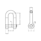 CARCANO A212 Grillo diritto alta resistenza con perno testa chiave quadra