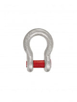 CARCANO A209 Grillo a cuore alta resistenza con perno testa chiave quadra